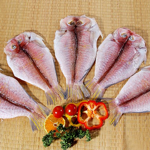 제주 참옥돔 -반건조급냉-  왕특대 (마리당500g이상)  4마리